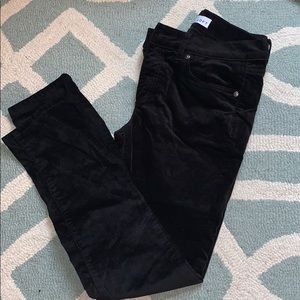 Loft corduroy velvet pants